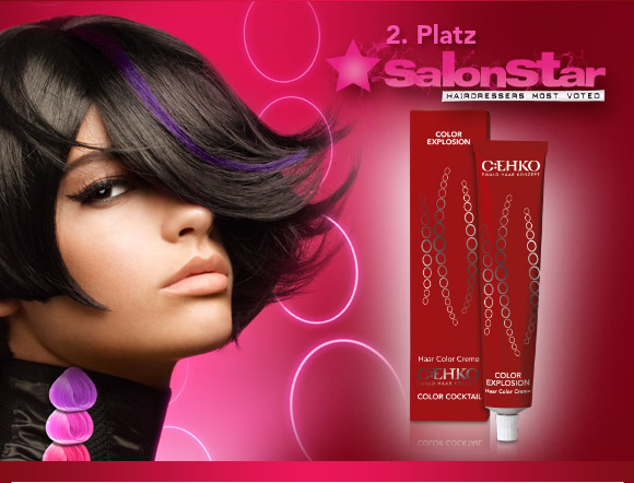 2. Platz Salonstar 2. Platz Salonstar