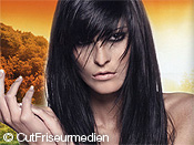 Frisuren-Galerie Frisuren-Galerie
