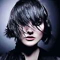 Intercoiffure Deutschland - Intercoiffure Trend News 2008