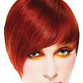 PAUL MITCHELL - Kategoriemotive