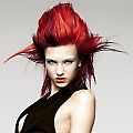 Schwarzkopf - The Essential Looks IGORA COLOUR Collection