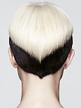 Schwarzkopf - The Essential Looks IGORA COLOUR Collection