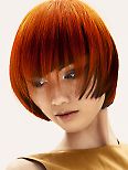 Schwarzkopf - The Essential Looks IGORA COLOUR Collection