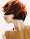 Schwarzkopf - The Essential Looks IGORA COLOUR Collection
