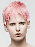 Schwarzkopf - The Essential Looks IGORA COLOUR Collection