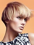 SASSOON PROFESSIONAL - SASSOON PROFESSIONAL: Blast Autumn Winter 2010