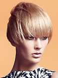 SASSOON PROFESSIONAL - SASSOON PROFESSIONAL: Blast Autumn Winter 2010