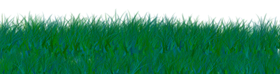 Growing Hair Gewinnspiel!