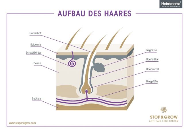 Der Haarausfall an einer Stelle