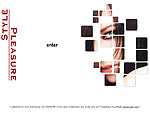 Zur Webseite von Style and Pleasure