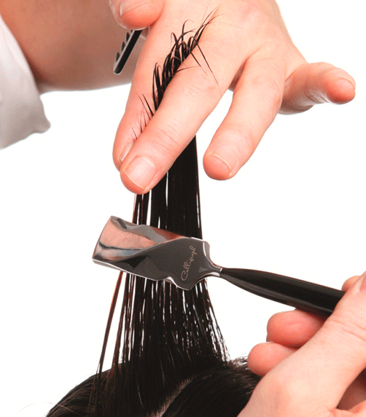 Calligraphy Haare Calligraphy Haare