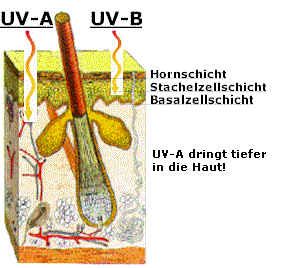 UV Strahlung