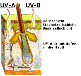 UV Strahlung